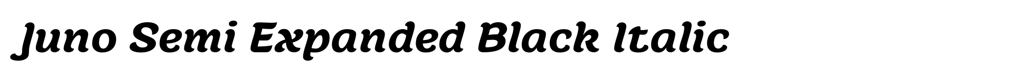 Juno Semi Expanded Black Italic image